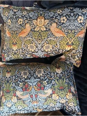 CALDEIRA Embroidered Bird & Floral Throw Pillow Pair in Blue and Green, set of 2